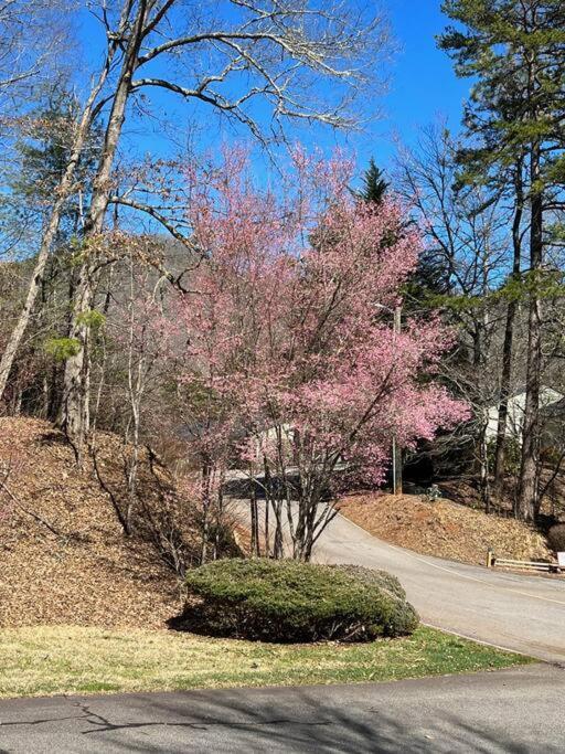 Creekside Gated Golf Mtn Villa W/Fast Wifi & Paved Franklin Exterior foto